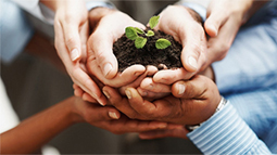 网页版呼叫在线轰炸电话